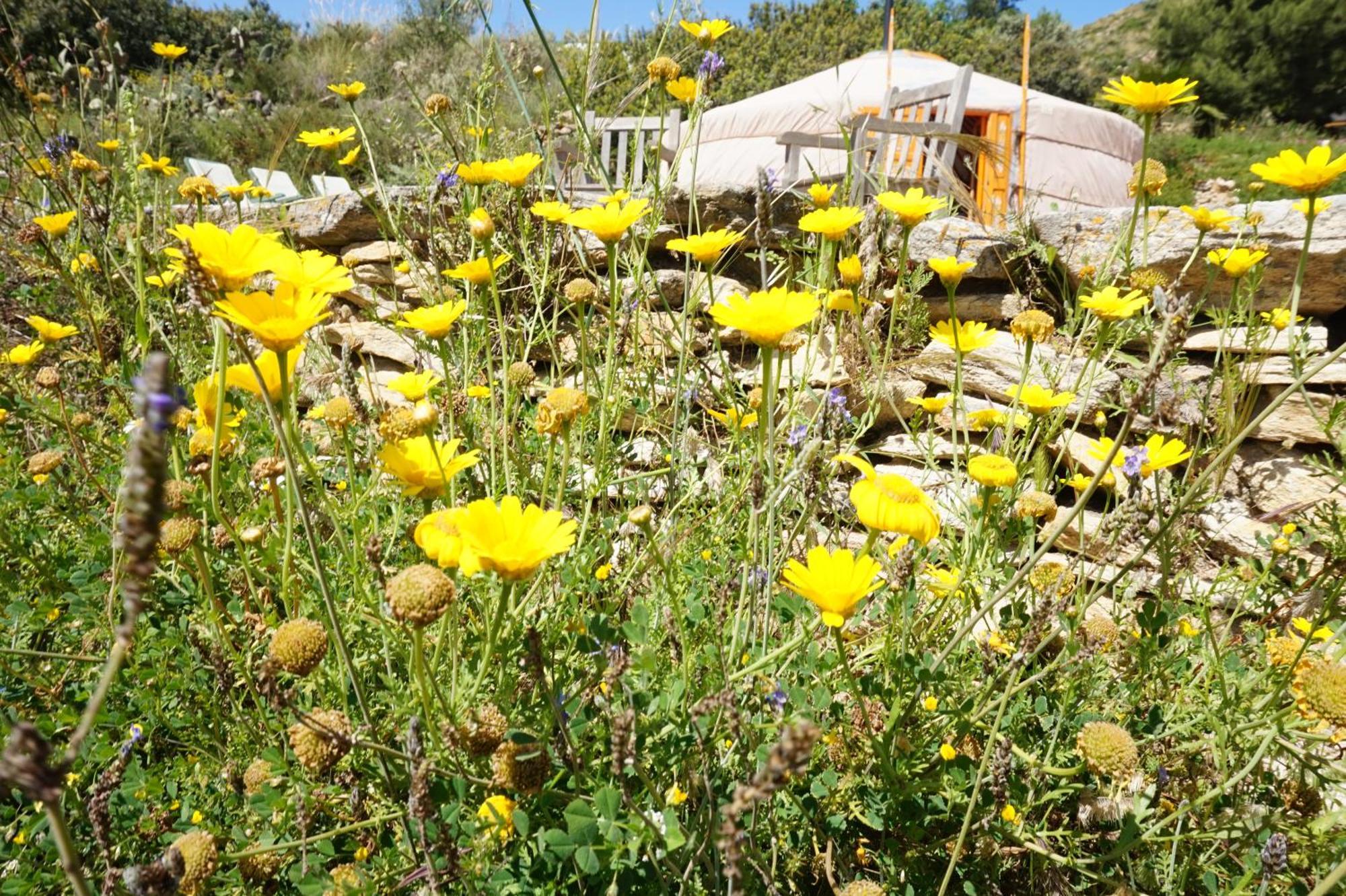 Bed and Breakfast Bed & Breakfast Alegria Y Luna Sorbas Exterior foto
